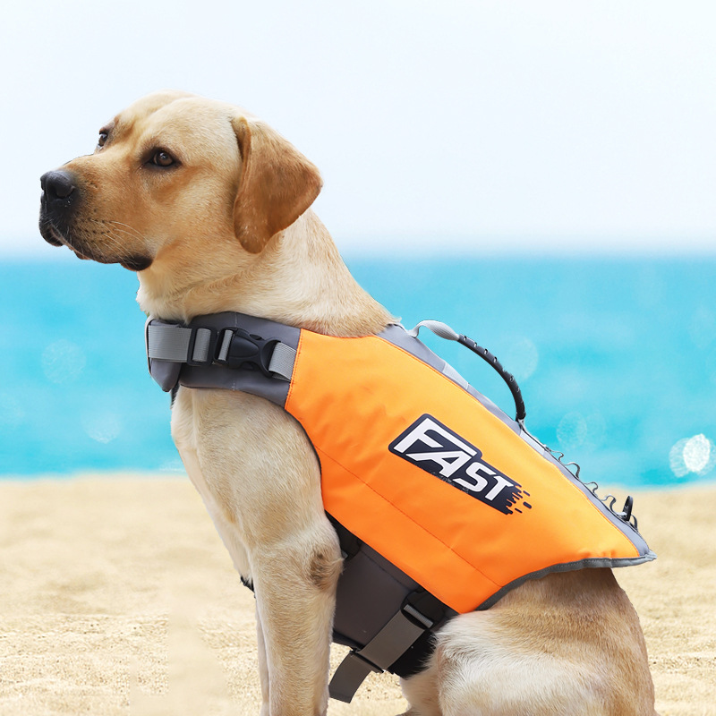 Colete Salva-Vidas para Cães:  - Life Jacket avaliação e preço